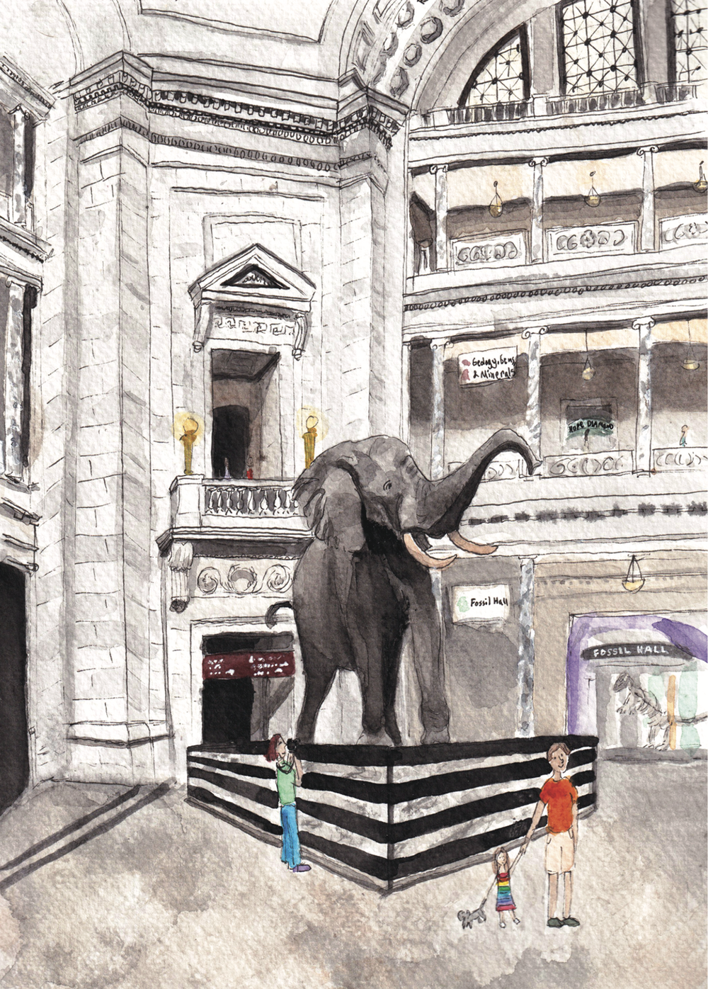 Smithsonian Museum of Natural History Watercolor Print